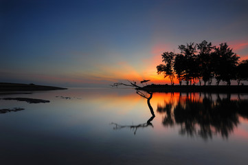 Scenic view of amazing tropical beach. Nature composition and vibrant colors.