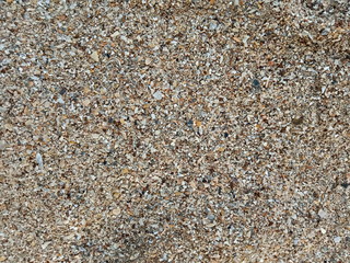pebbles on the beach