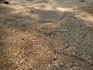 footprints in the sand