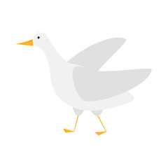 Goose bird isolated on white background. Funny cartoon character..