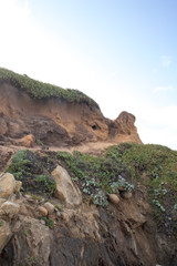 Big Sur coastline along California's scenic Pacific Coast Highway