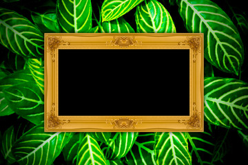 Gold wooden frame on green leaves texture background.