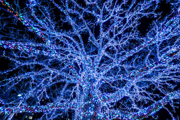 Luminous branches of decorated tree against dark sky