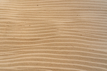 Fototapeta na wymiar Textured yellow sand on the beach