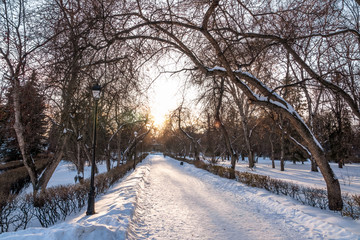 Obraz premium Snow covered city park in winter