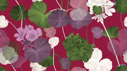 Fototapeten Floral seamless pattern, Pelargonium zonale flowers with leaves on dark red, purple, green and white tones © momosama