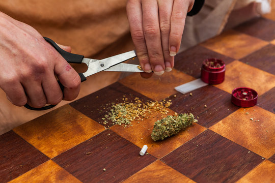 Closeup shot of hands finely cutting a portion of a cannabis bud with scissors preparing to roll a marijuana joint over a checkered table