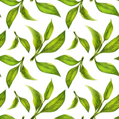 Green leaves watercolor seamless pattern. Botanical painting illustration isolated on white background