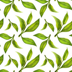 Green leaves watercolor seamless pattern. Botanical painting illustration isolated on white background