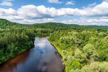 Fototapeta na wymiar River flowing through forest in Latvia