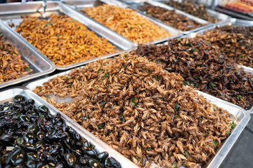 Fried crickets and other fried insects in Thai market