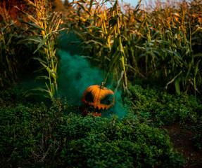 Halloween Smoke Bomb Photography PEI Canada