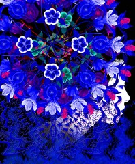 蝶と女００８「