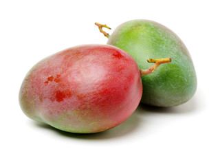mangos on a white background 