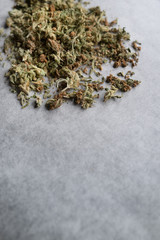 Dried Cannabis leaf with copy space