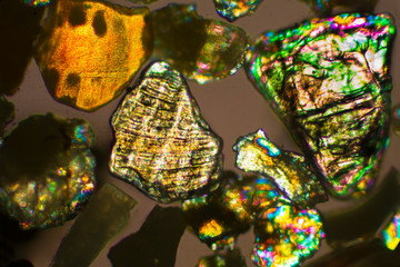 Abstract micrograph of sand grains from Puerto Vallarta, Mexico.