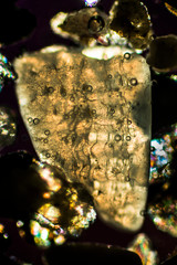 Abstract micrograph of sand grains from Puerto Vallarta, Mexico.