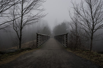 Road leading to a wooden bridge in foggy weather