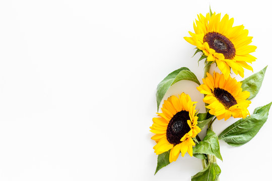 Bouquet of sunflowers on white background top-down copy space