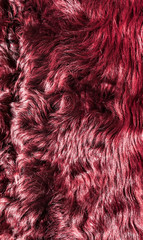 texture of the fur painted in Burgundy color
