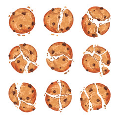 Oatmeal Cookies with Chocolate Crumbs Isolated on White Background Vector Set