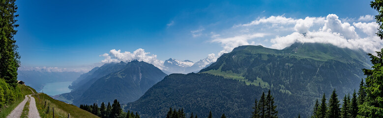 Fototapeta premium Szwajcaria, panoramiczny widok na zielone Alpy w pobliżu Schynige Platte, Saxeten
