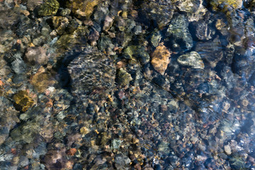 stones in the water