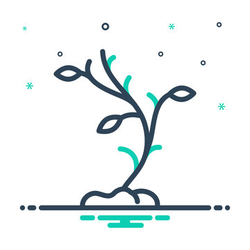 growing plant with green leaves clip art preview