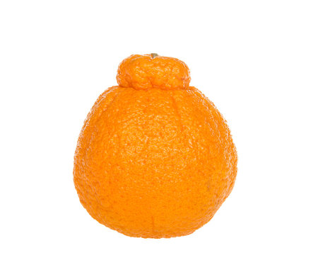 One Large Sumo Orange Isolated On White Background. Native To Japan, Sumo Oranges Are A Hybrid Citrus Fruit That's A Cross Between Mandarin And A California Naval Orange