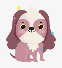 cute dog domestic cartoon animal, pets