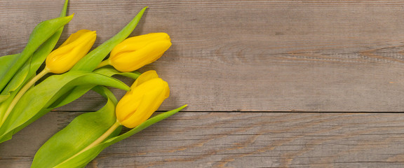 yellow tulips on left side rustic gray wooden table, wide shot