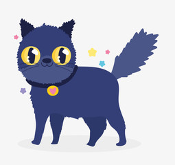 cute cat with collar domestic cartoon animal, cats pets