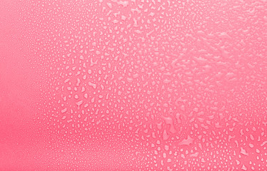Drops of water on a color background. Selective focus. Pink