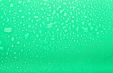 Obraz premium Drops of water on a color background. Selective focus. Green