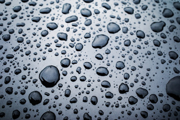 ボンネットの水玉模様