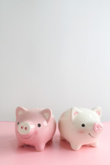 Two piggy bank on pink table with white background. A saving money for future investment concept.
