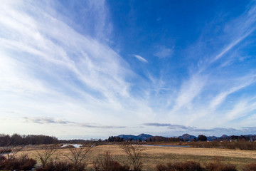 Fototapeta premium 青空と白い雲 冬の晴れた日