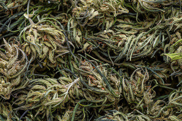 Background of flower buds cannabis, marijuana, weed top view copy spase close up,CBD Macro a cannabis flower and marijuana macro