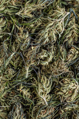 Background of flower buds cannabis, marijuana, weed top view copy spase close up,CBD Macro a cannabis flower and marijuana macro