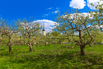 Naklejka premium Garden in Kolomna Kremlin - Moscow region - Russia