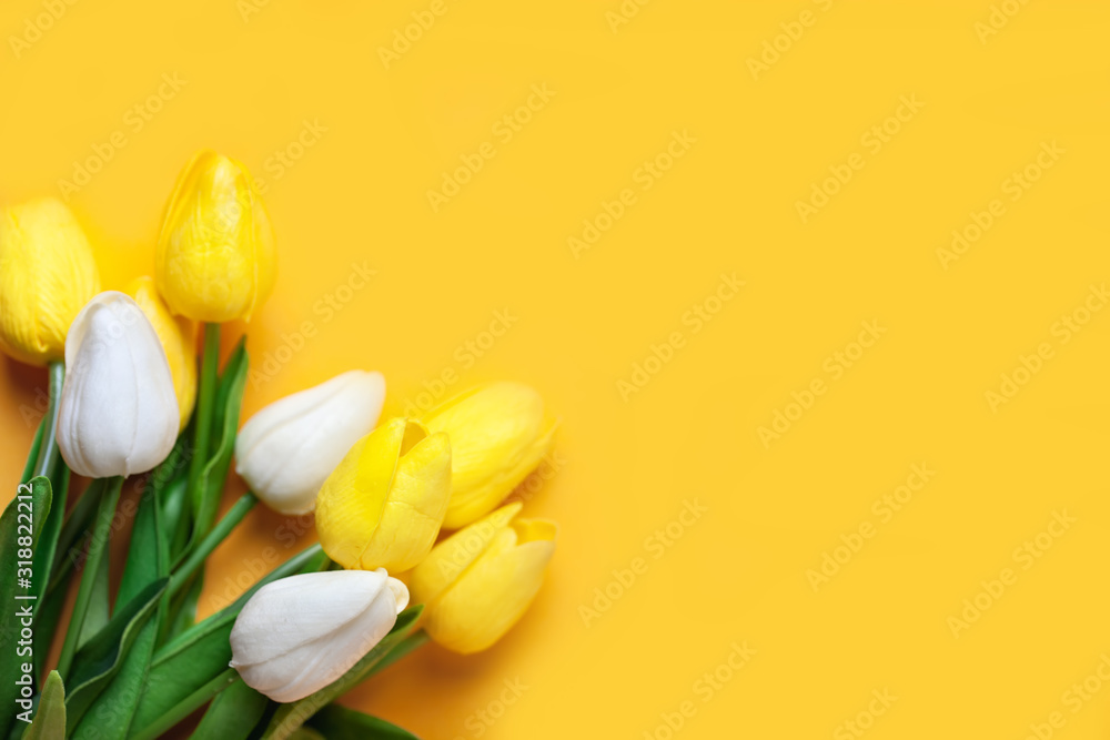 Wall mural background of spring flowers for card for the holiday. women's day. selective focus. horizontal. top