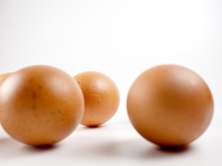  egg on white background