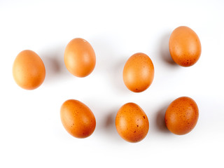  egg on white background