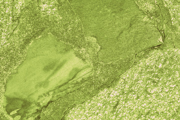 Stone path in the garden close-up . Abstract background green color toned