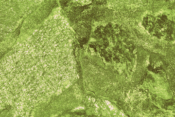 Stone path in the garden close-up . Abstract background green color toned