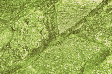 Stone path in the garden close-up . Abstract background green color toned