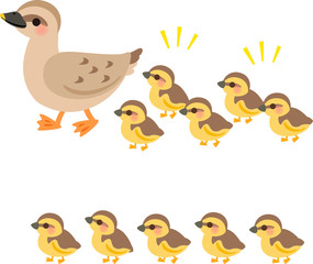 かわいい鴨の親子