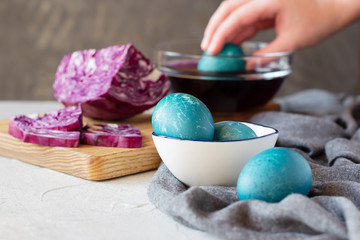 Blue Easter eggs painted by natural dye, girl taking dyed egg from a bowl with colored water. Purple cabbage is natural dye. No chemicals concept