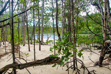 Tropical island Curieuse at Seychelles, Indian Ocean, Africa