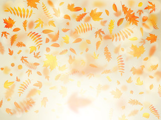 Fototapeta na wymiar Beautiful autumn background with maple autumn leaves and delicate sun. EPS 10